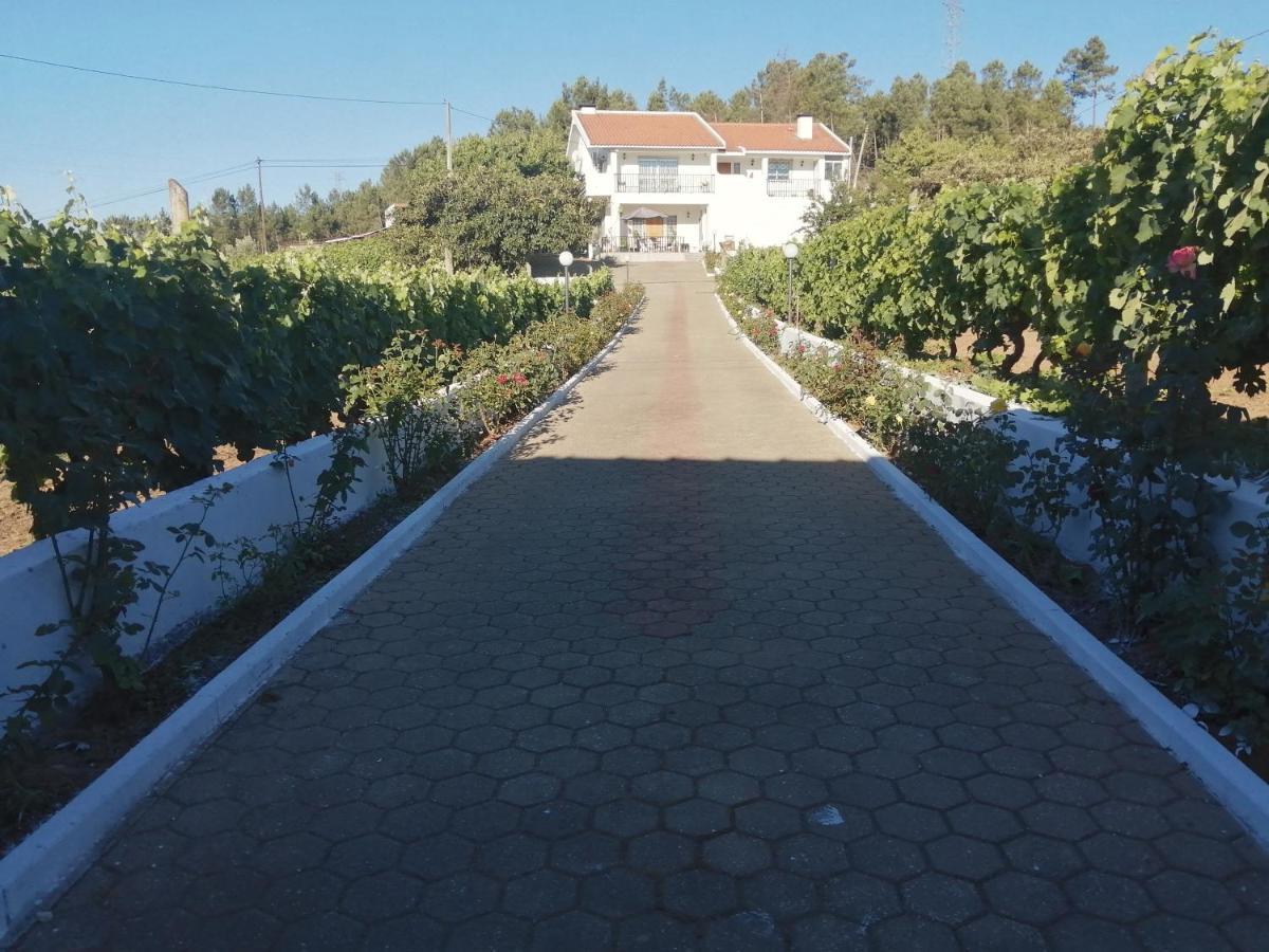 Villa Quinta Lugar Da Veiga Winery à Guiães Extérieur photo