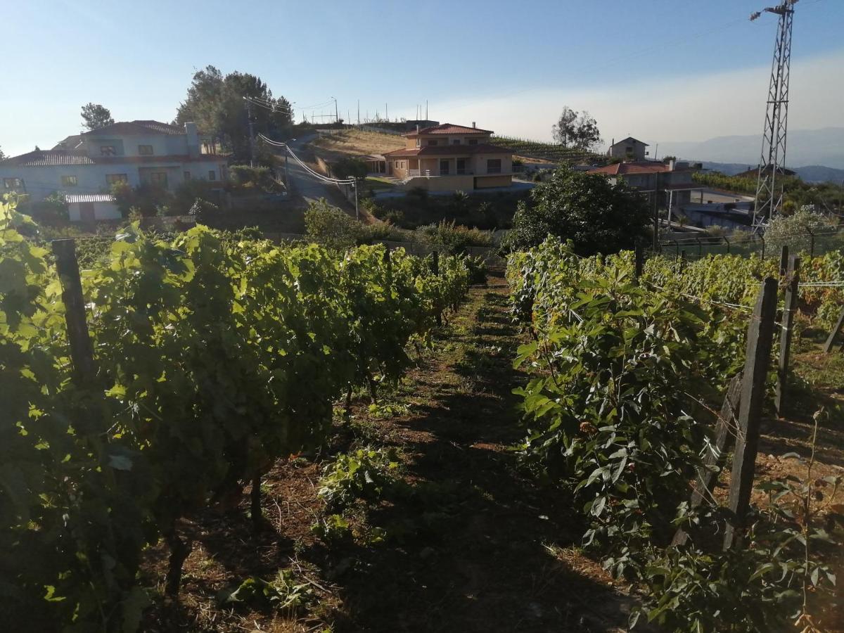 Villa Quinta Lugar Da Veiga Winery à Guiães Extérieur photo