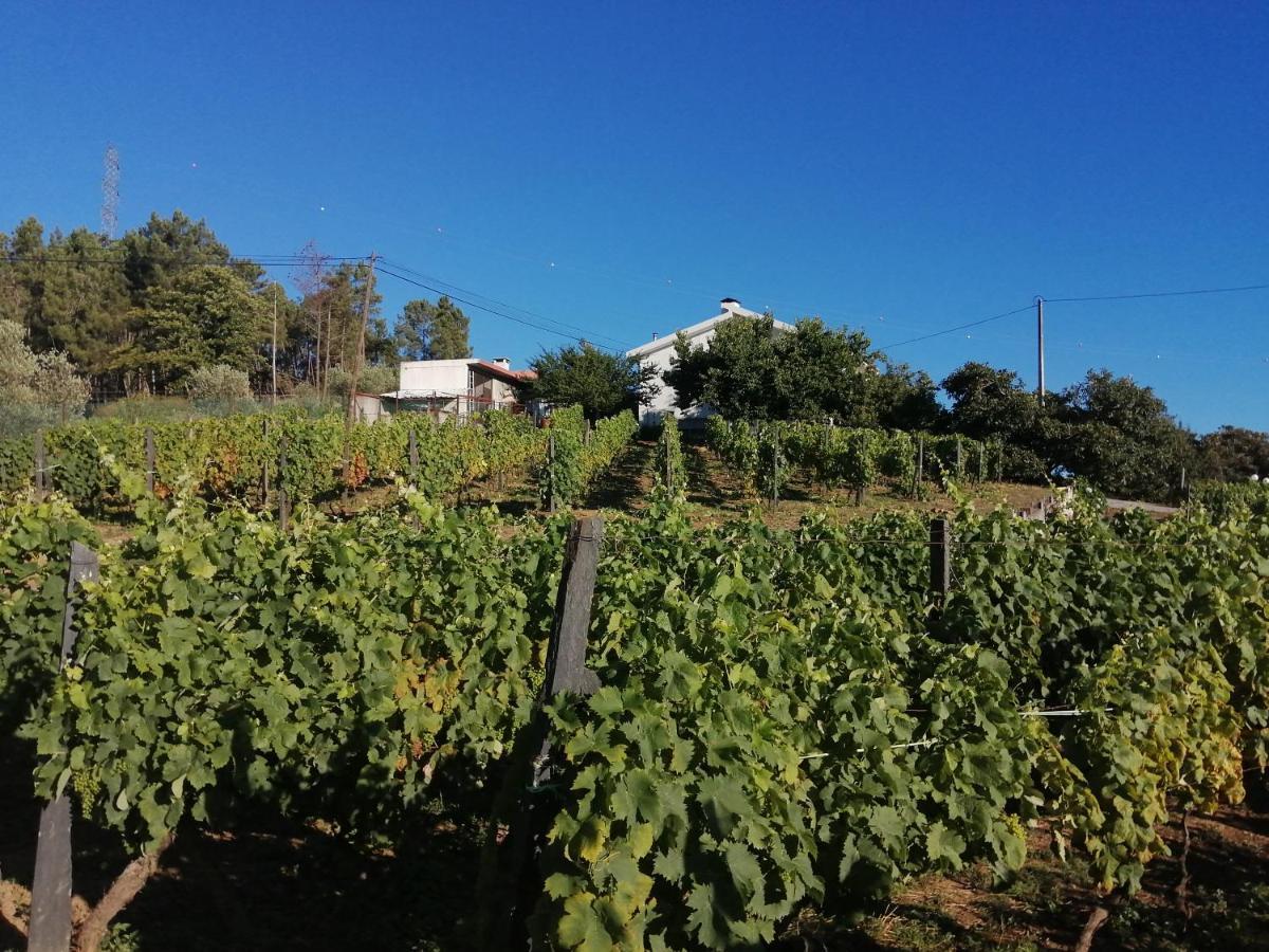 Villa Quinta Lugar Da Veiga Winery à Guiães Extérieur photo